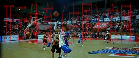 开云体育平台官网,掌握比赛动态不再等待