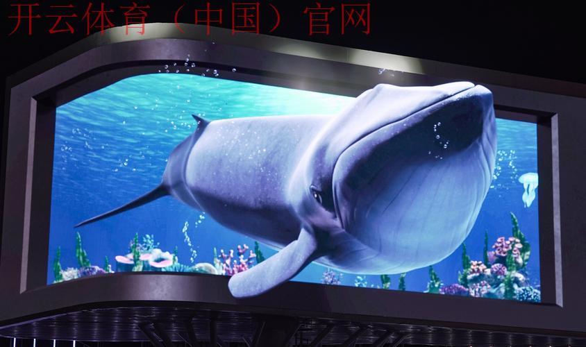 开云体育appkaiyunsport,24小时畅游体育资讯海洋 开云体育appkaiyunsport,24小时畅游体育资讯海洋