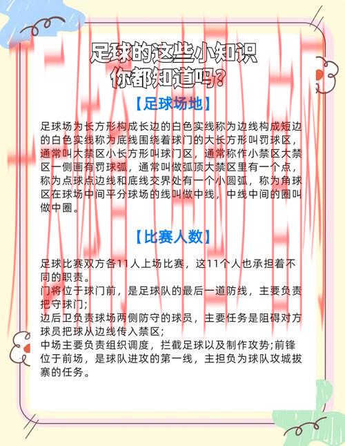 开云体育平台赛事,赛事攻略分享，体育迷必看指南