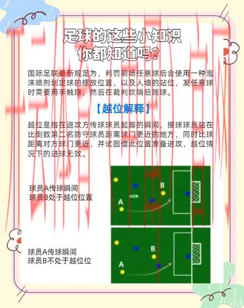 开云体育平台赛事,赛事攻略分享，体育迷必看指南